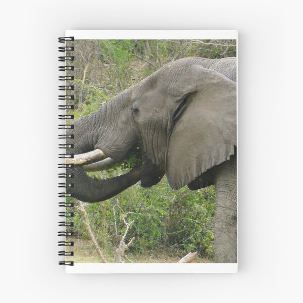 Item preview, The African elephant designed and sold by exploramum.