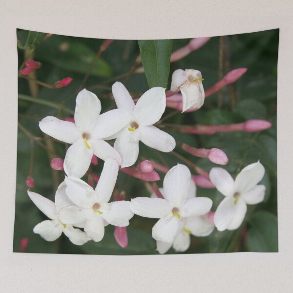 Item preview, Delicate White Jasmine Blossom with Green Background designed and sold by taiche.