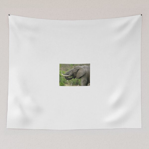 Item preview, The African elephant designed and sold by exploramum.