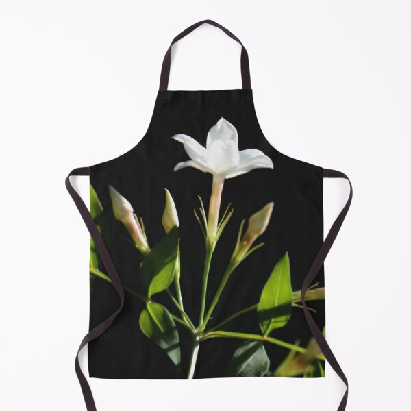 Item preview, Close Up Of Jasminum Officinale Isolated On Black designed and sold by taiche.