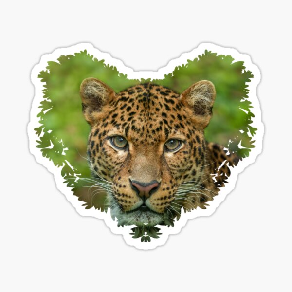 Item preview, Jaguar's Intensity Heart designed and sold by rawshutterbug.
