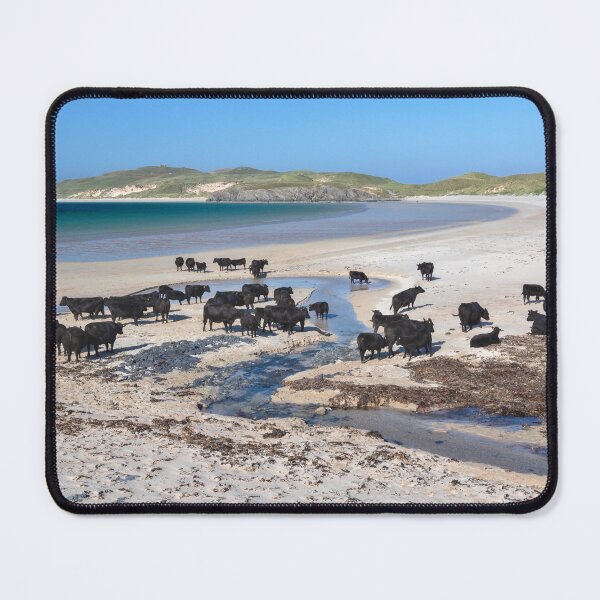 Item preview, Faraid Head Fine Weather Sutherland Scotland designed and sold by PhotosEcosse.