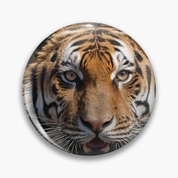 Item preview, Inferno Fury: The Furious Tiger Amidst Flames designed and sold by RK - Shop.