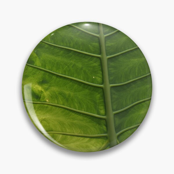 Item preview, Leaf (best quality and highest resolution) designed and sold by Pete Klimek.