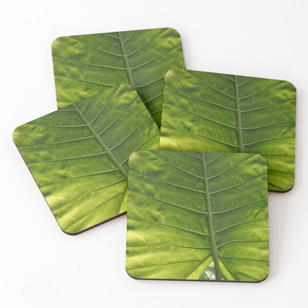 Item preview, Leaf (best quality and highest resolution) designed and sold by Pete Klimek.