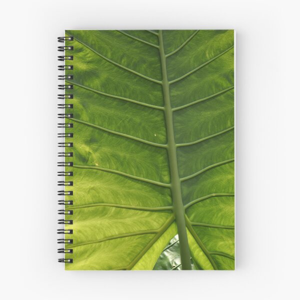 Item preview, Leaf (best quality and highest resolution) designed and sold by Pete Klimek.
