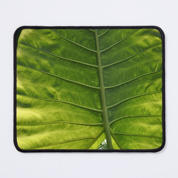 Item preview, Leaf (best quality and highest resolution) designed and sold by Pete Klimek.