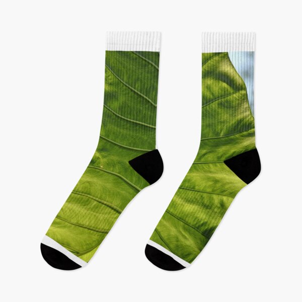 Item preview, Leaf (best quality and highest resolution) designed and sold by Pete Klimek.