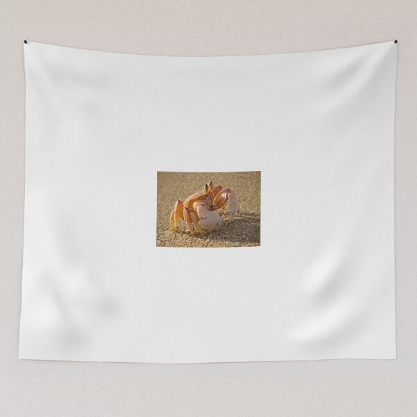 Item preview, Lamu Island - crab - close up 2 designed and sold by exploramum.