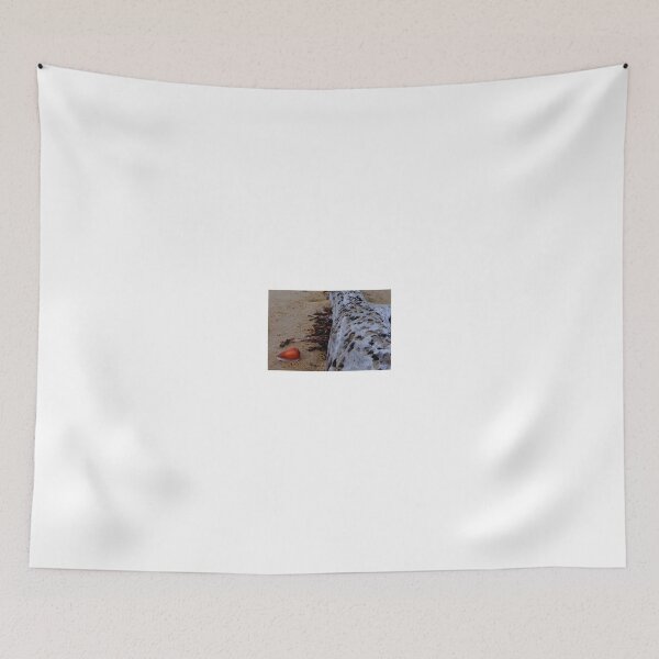 Item preview, Tree trunk and shell on the beach full size 1 designed and sold by exploramum.