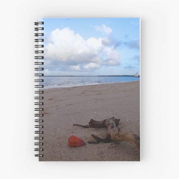 Item preview, Driftwood and shell on the beach designed and sold by exploramum.