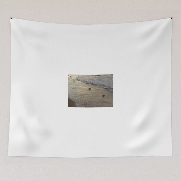 Item preview, Lamu Island - crabs playing at sunset 1 designed and sold by exploramum.