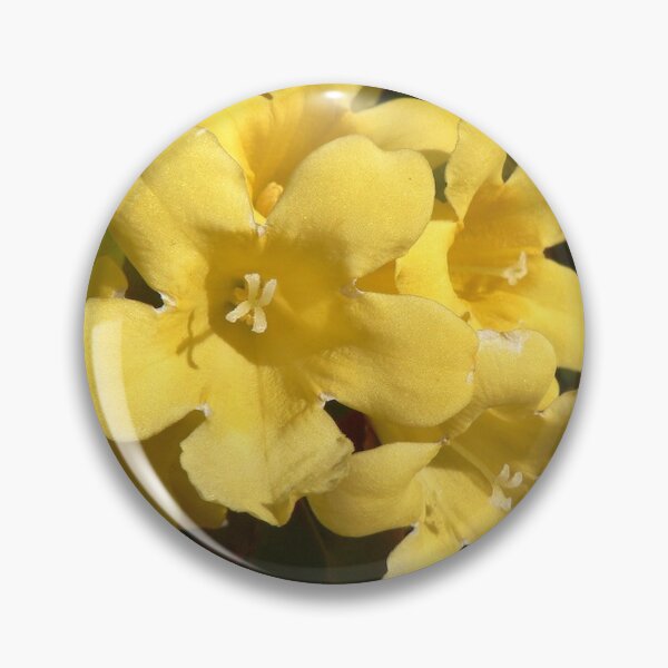 Item preview, Yellow Carolina Jasmine Blossom Close-Up designed and sold by taiche.
