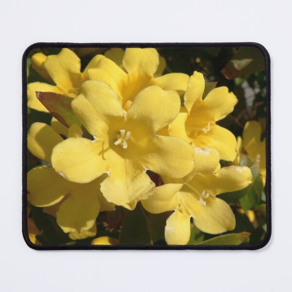 Item preview, Yellow Carolina Jasmine Blossom Close-Up designed and sold by taiche.
