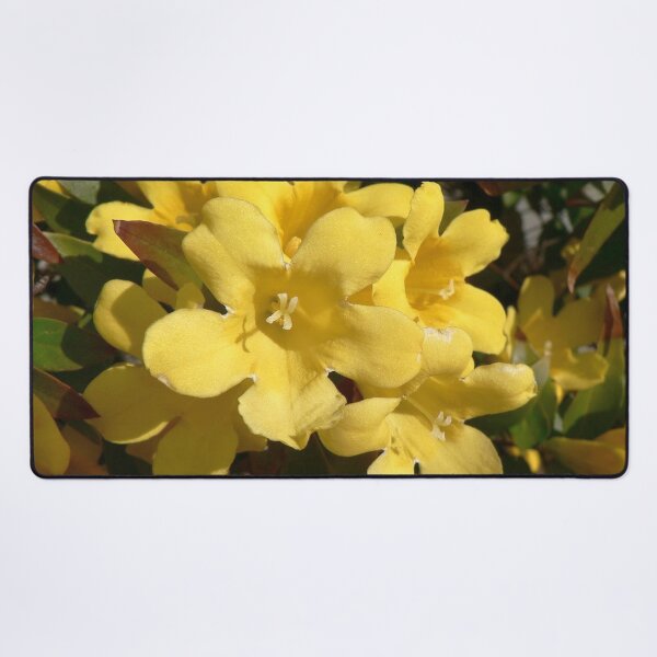 Item preview, Yellow Carolina Jasmine Blossom Close-Up designed and sold by taiche.
