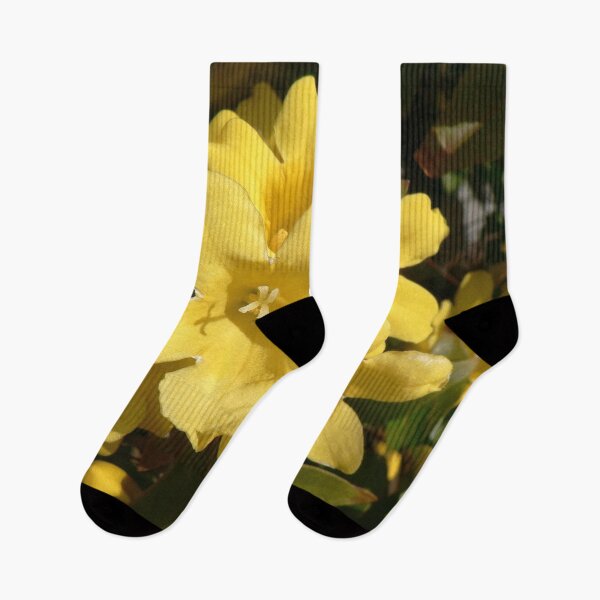Item preview, Yellow Carolina Jasmine Blossom Close-Up designed and sold by taiche.