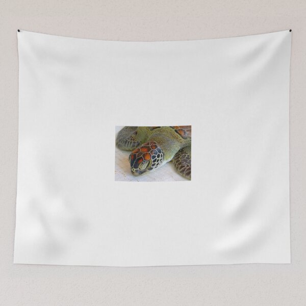 Item preview, Turtle rescue - close-up designed and sold by exploramum.