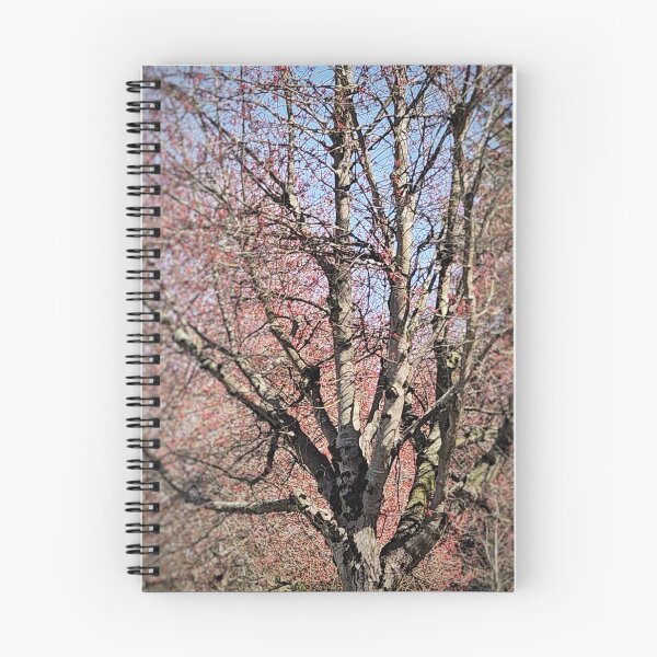 Item preview, Blossom Daze designed and sold by Amber Graham (grahamedia).