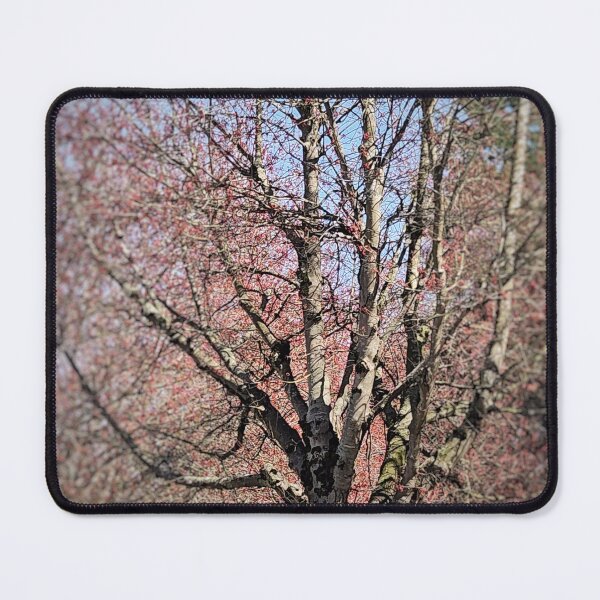 Item preview, Blossom Daze designed and sold by Amber Graham (grahamedia).