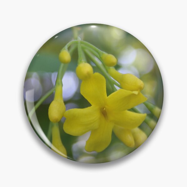 Item preview, Close Up Of Carolina Jasmine designed and sold by taiche.