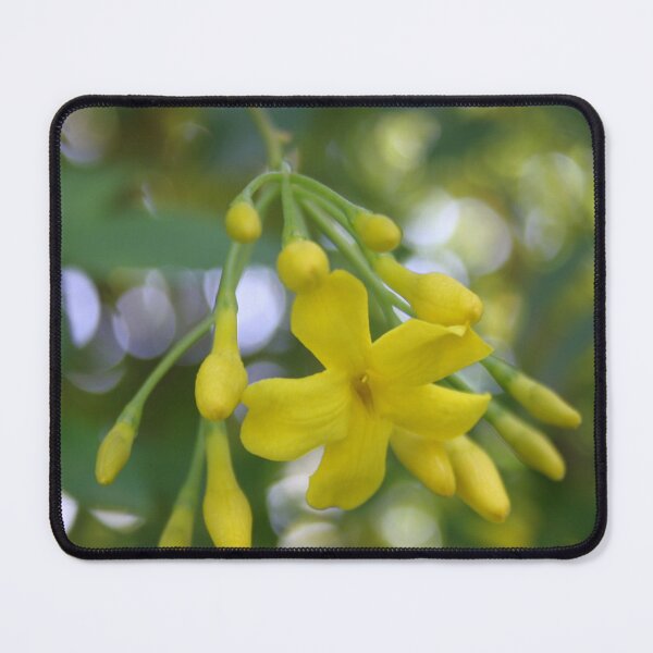 Item preview, Close Up Of Carolina Jasmine designed and sold by taiche.