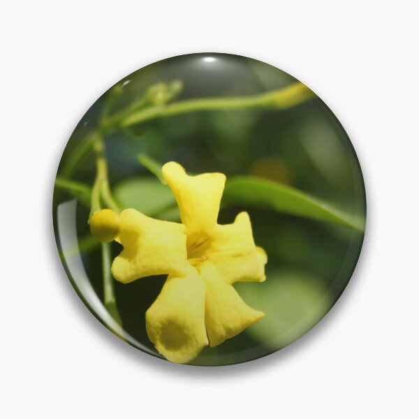 Item preview, Carolina Jasmine Single Bloom In Sunlight designed and sold by taiche.
