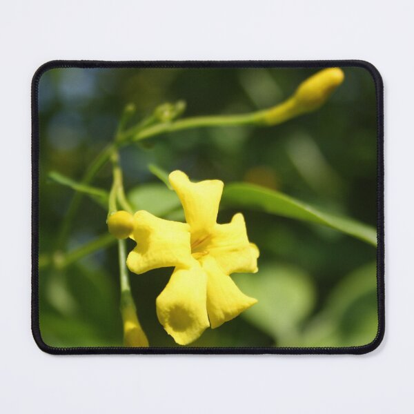 Item preview, Carolina Jasmine Single Bloom In Sunlight designed and sold by taiche.