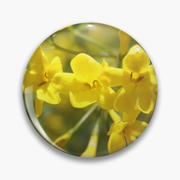 Item preview, Fragrant Yellow Flowers Of Carolina Jasmine  designed and sold by taiche.
