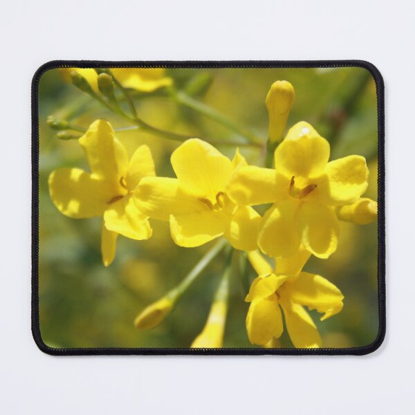 Item preview, Fragrant Yellow Flowers Of Carolina Jasmine designed and sold by taiche.