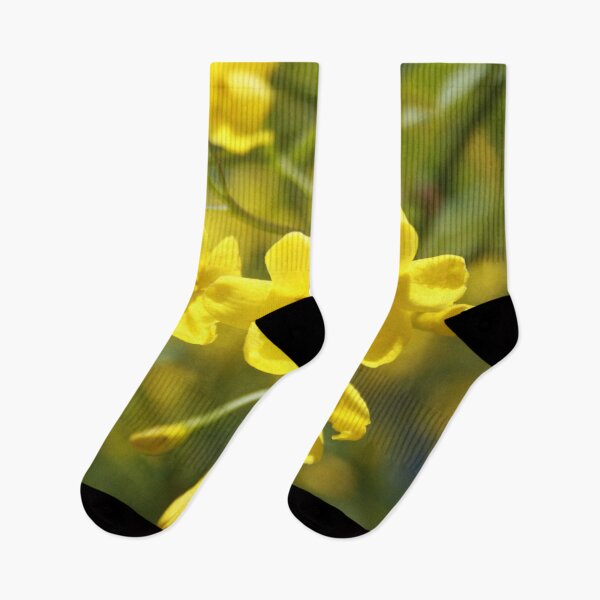 Item preview, Fragrant Yellow Flowers Of Carolina Jasmine  designed and sold by taiche.