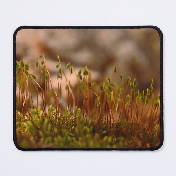 Item preview, Spring Moss... designed and sold by Poete100.