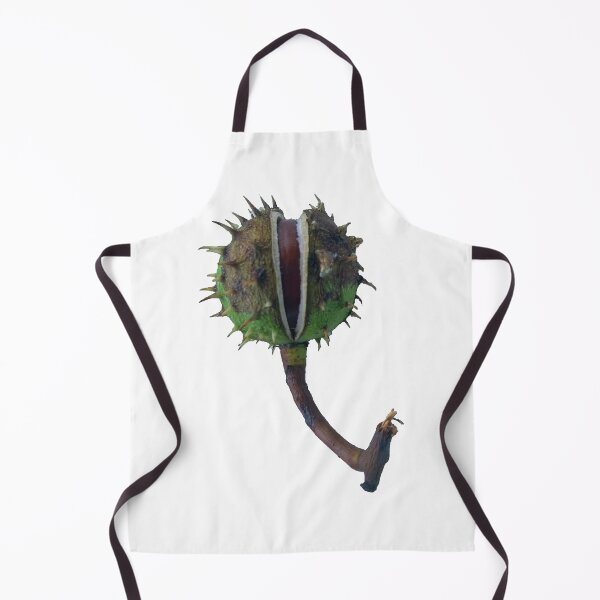 Item preview, Chestnut in the shell with a petiole. designed and sold by Attic-Junk.