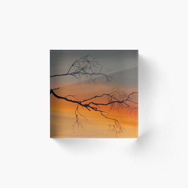 The Rich Summer Sun Acrylic Block