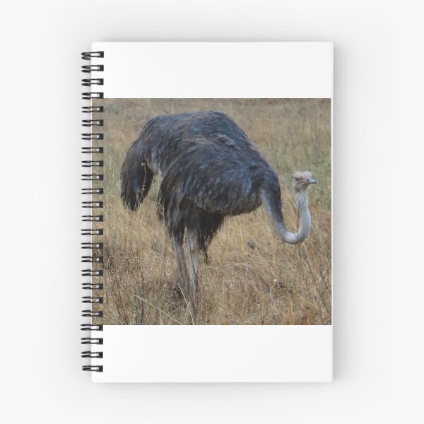 Item preview, Ostrich in the grass 1 designed and sold by exploramum.