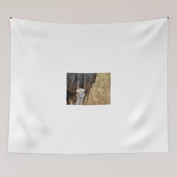 Item preview, Ostrich in the grass - head shot designed and sold by exploramum.