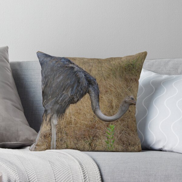Item preview, Ostrich in the grass 2 designed and sold by exploramum.