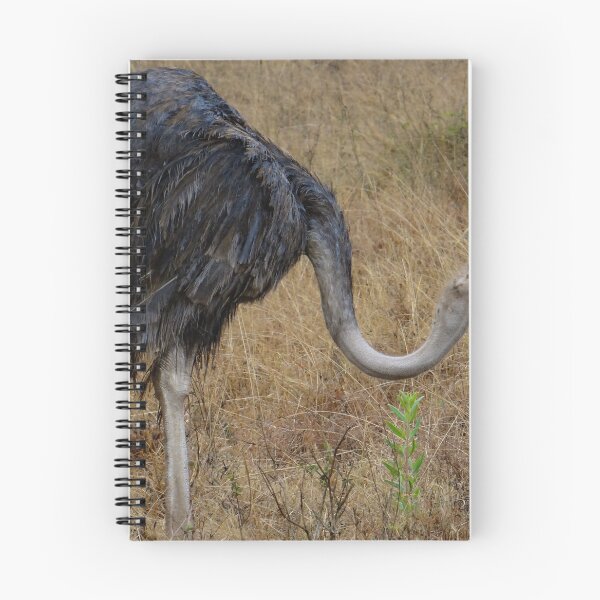 Item preview, Ostrich in the grass 2 designed and sold by exploramum.