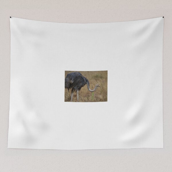 Item preview, Ostrich in the grass 2 designed and sold by exploramum.