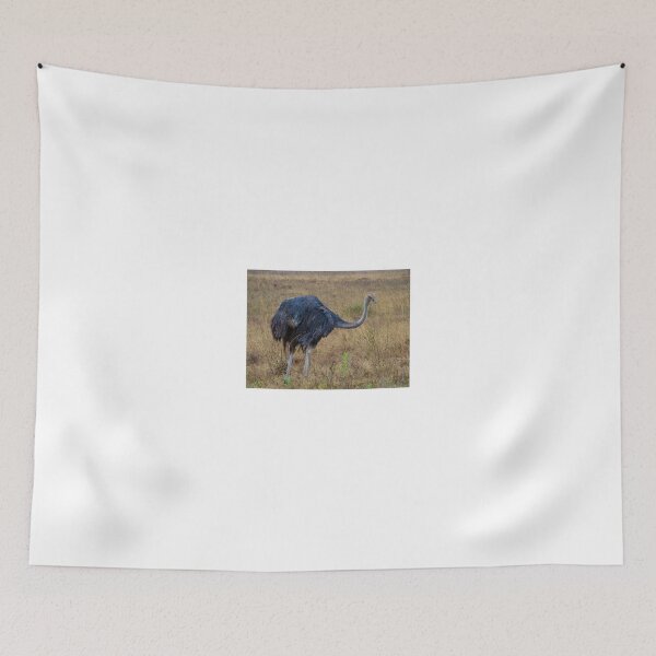 Item preview, Ostrich in the grass 3 designed and sold by exploramum.