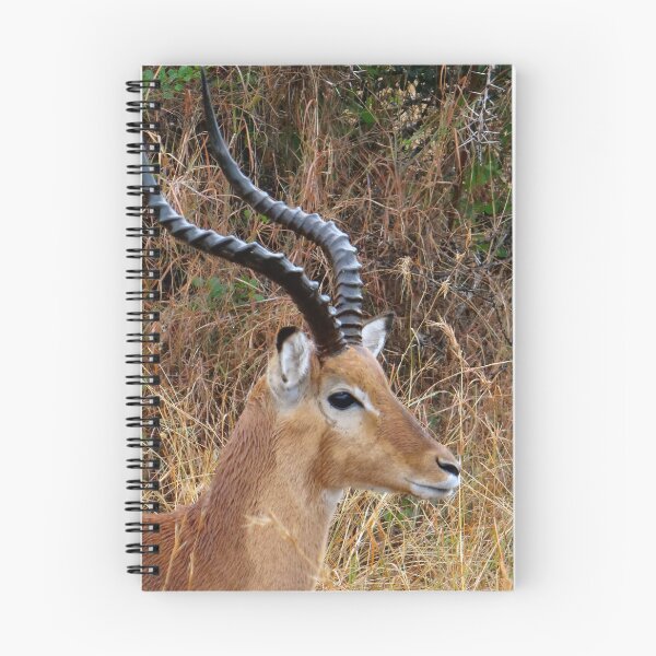 Item preview, African animals on safari - a child’s view 1 designed and sold by exploramum.