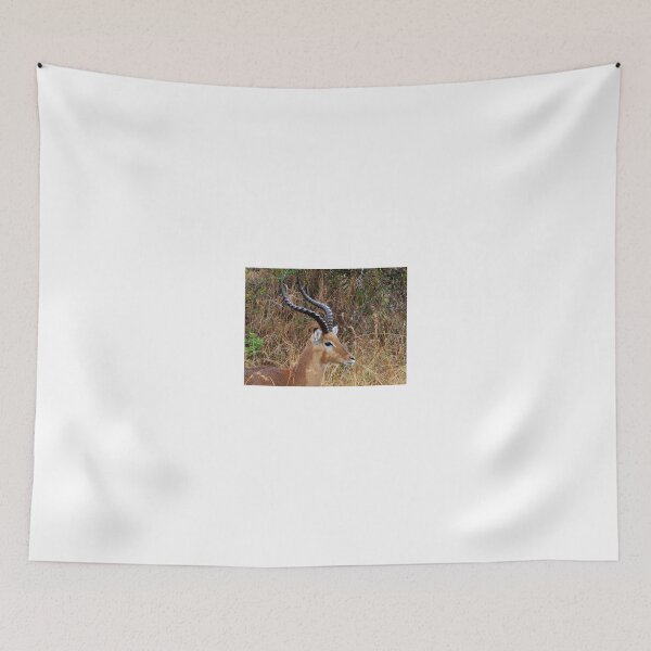 Item preview, African animals on safari - a child’s view 1 designed and sold by exploramum.