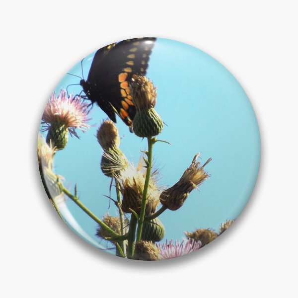 Item preview, Black Swallowtail On Purple Thistle designed and sold by MercerImages.