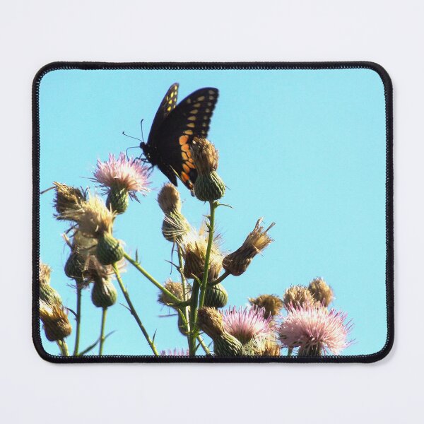 Item preview, Black Swallowtail On Purple Thistle designed and sold by MercerImages.