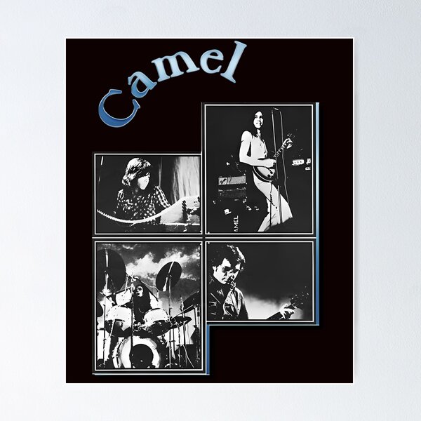 Item preview, Camel Band designed and sold by MarioCampbe.
