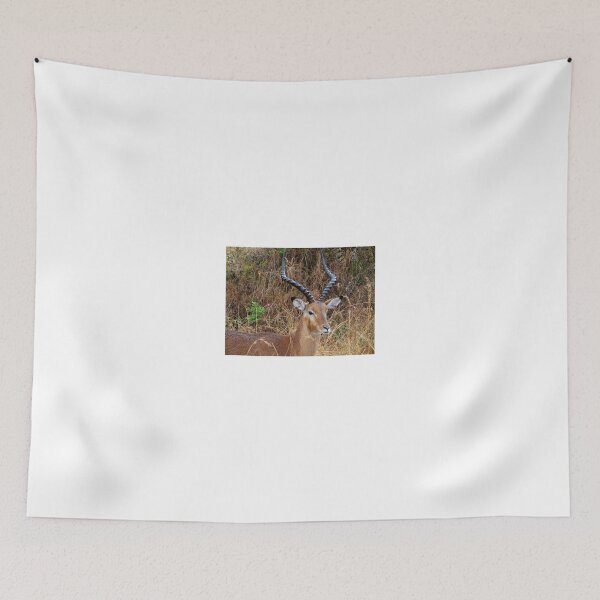Item preview, African animals on safari - a child’s view 2 designed and sold by exploramum.