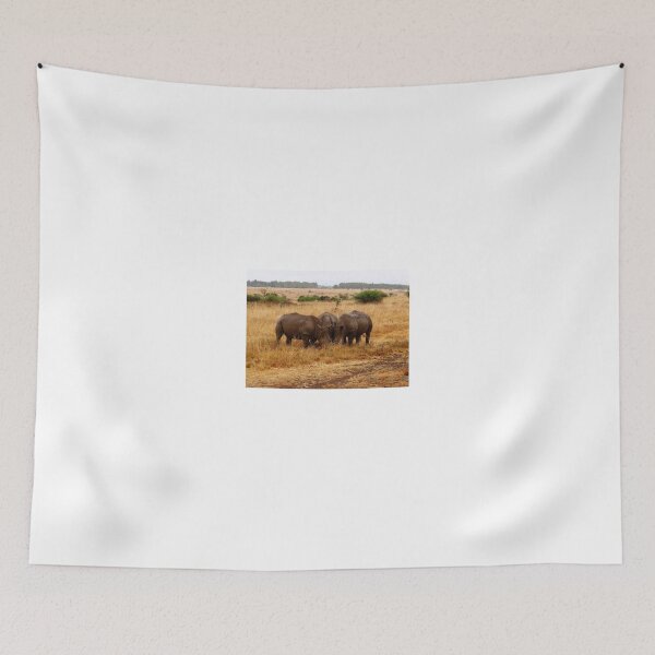 Item preview, African animals on safari - three very rare white rhinoceros grazing designed and sold by exploramum.