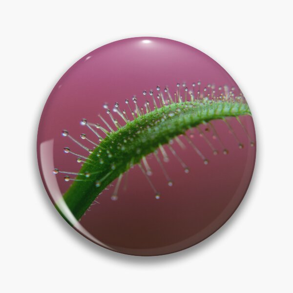 Item preview, Drosera With Pink Background designed and sold by JMDesignHouse.