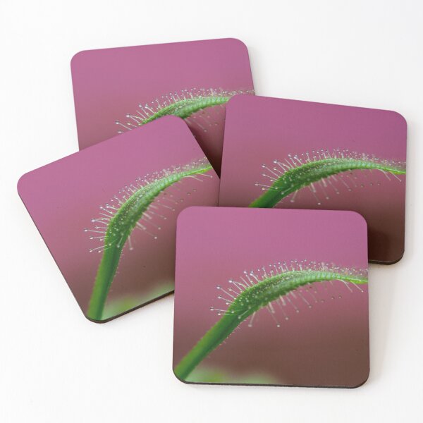 Item preview, Drosera With Pink Background designed and sold by JMDesignHouse.