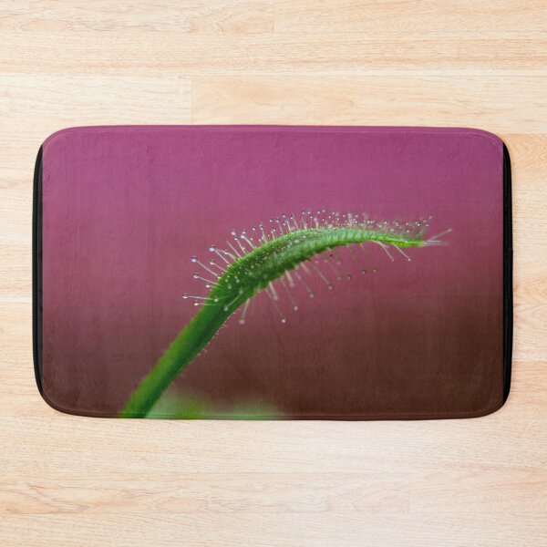 Item preview, Drosera With Pink Background designed and sold by JMDesignHouse.