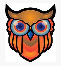 cool owls and cool design print Photographic Print